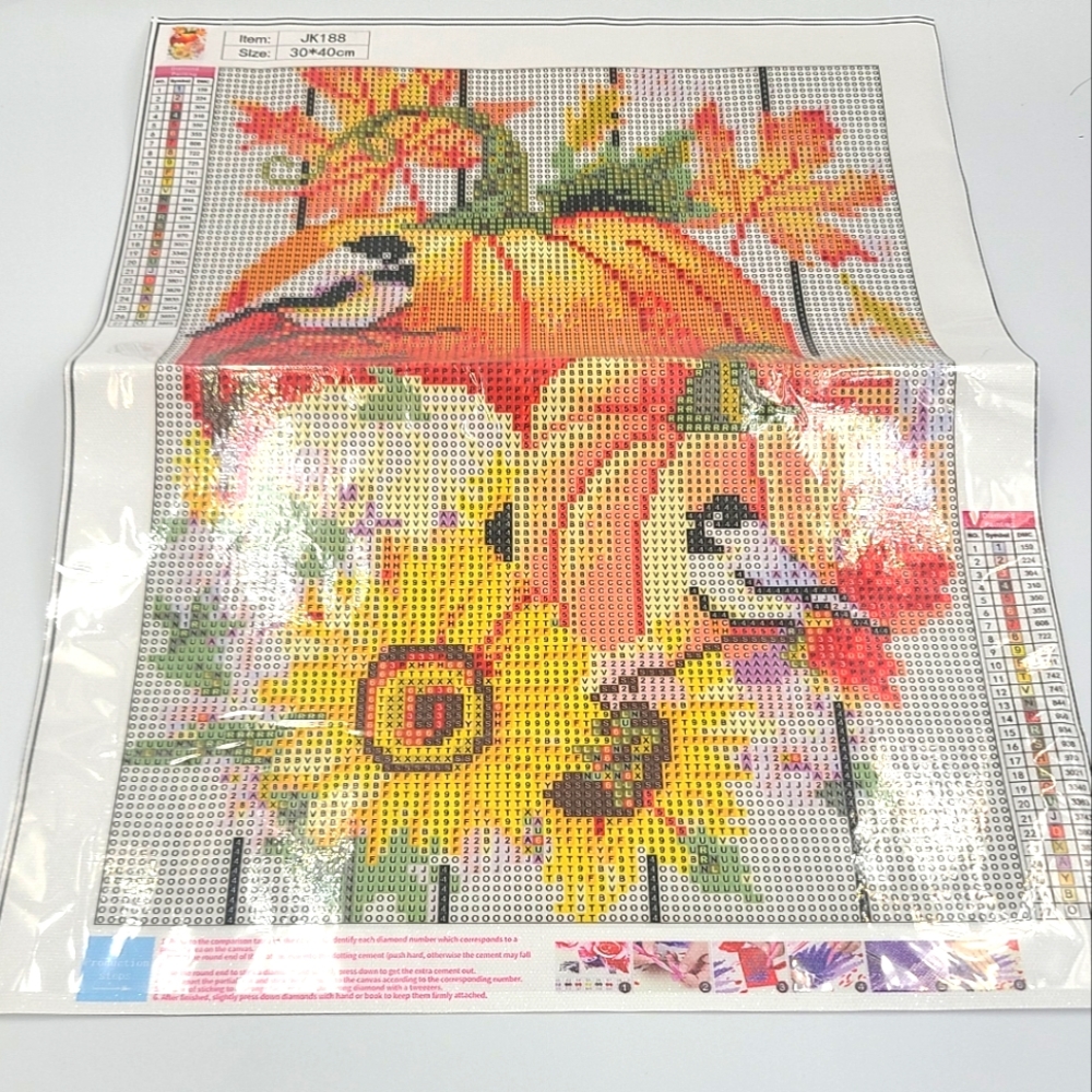 2/20 BN Pumpkin & birds diamond art 30 x 40 cm